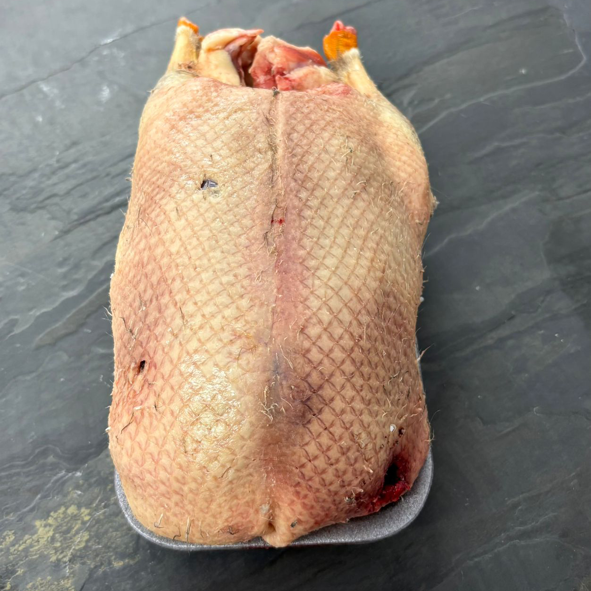 Plucked and Dressed Wild Mallard